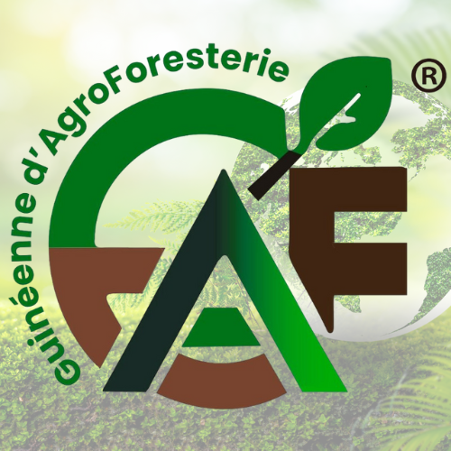 Partenaire 4